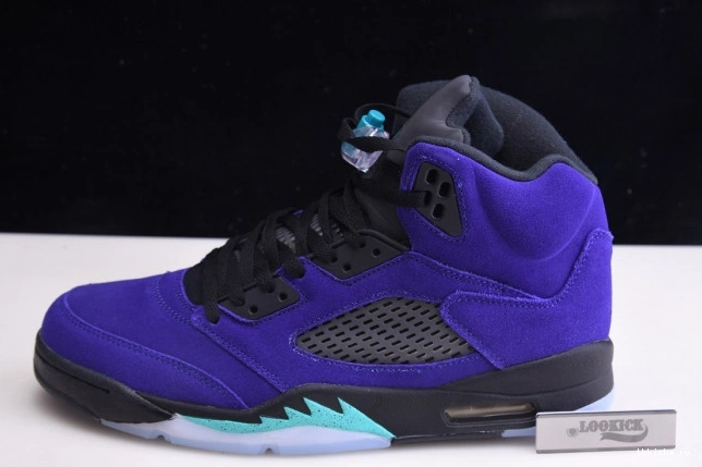 Reps TB 136027-500 Grape Alternate Retro Air Jordan 5 0824